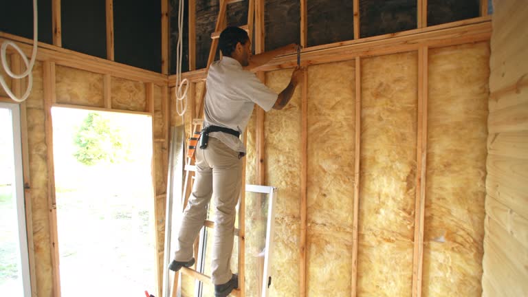 Trusted Lake Dunlap, TX Insulation Experts